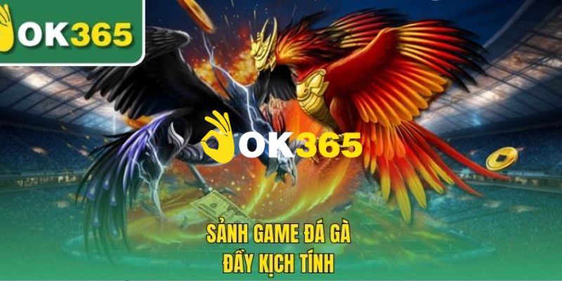 OK365 nimos | Link Ok365.com Nhà Cái Uy Tín 2026 Tặng +65K 18 Chuyên mục đá gà hấp dẫn đỉnh cao 2025